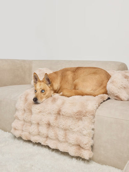 Sofa Nuage pour chien & chat CONFORT™