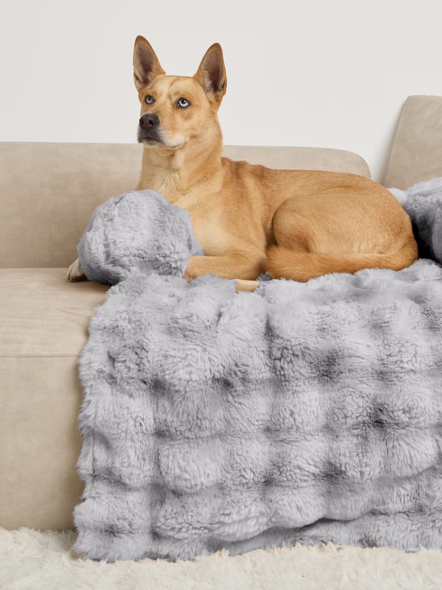 Sofa Nuage pour chien & chat CONFORT™
