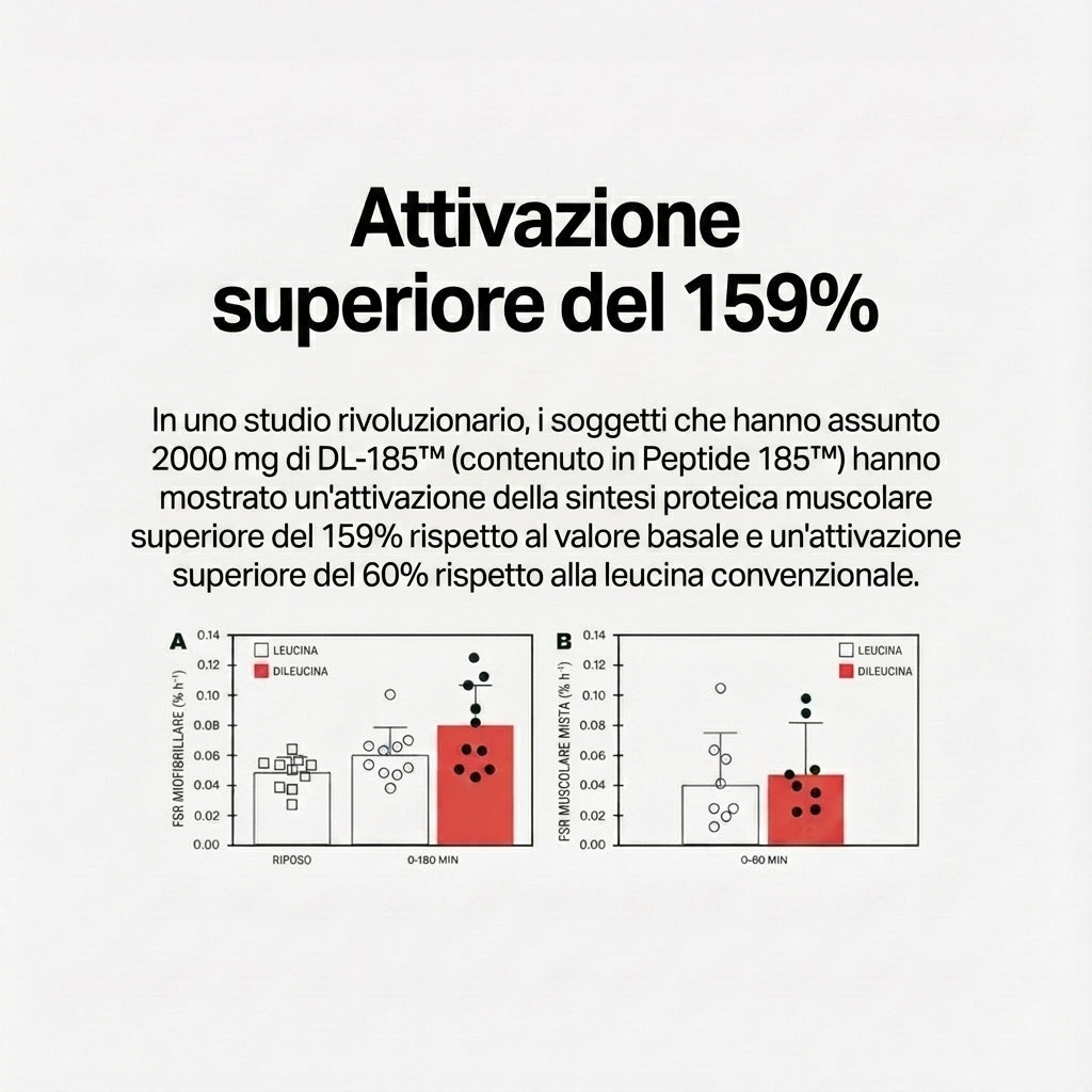 Muscle Peptide Dileucina 185 - 84 Capsule